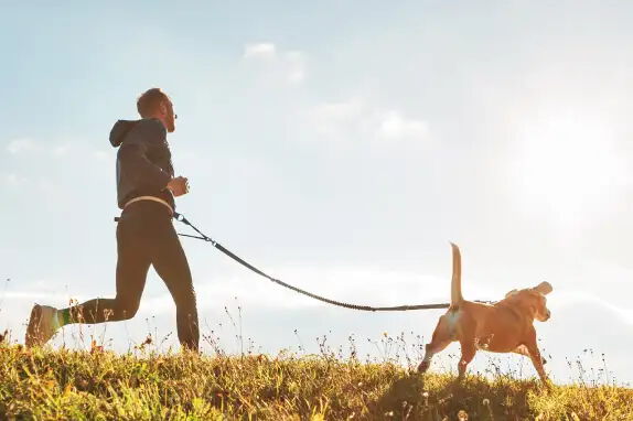 Eine Person joggt auf einem grasbewachsenen Hügel, angeleint mit einem Hund. Der Himmel ist klar und sonnig, was eine helle und freundliche Atmosphäre schafft.
